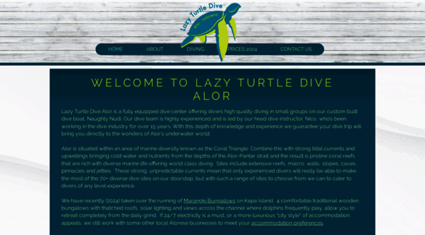 lazyturtledive.com