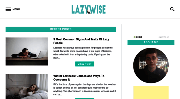 lazywise.com