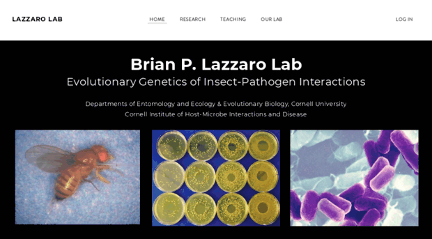 lazzaro.entomology.cornell.edu