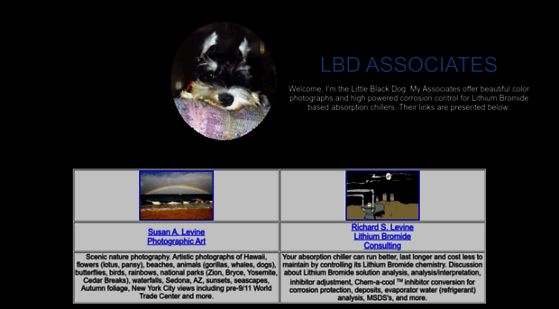 lbdassociates.com