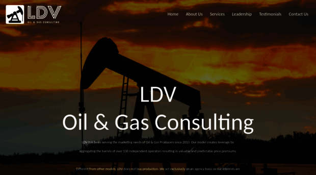 ldvconsulting.com