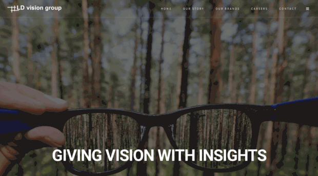 ldvision.com