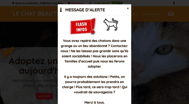 le-chat-beaute.org