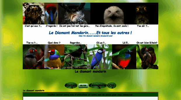 le-diamant-mandarin.forumactif.com