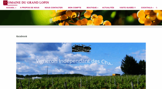 le-grand-lopin.com