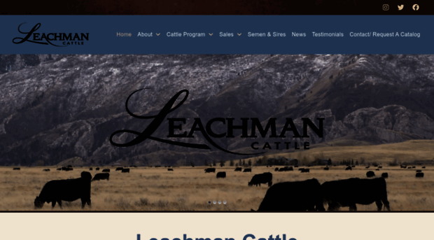 leachman.com