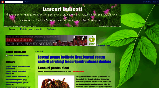leacuri-babesti-eu.blogspot.com
