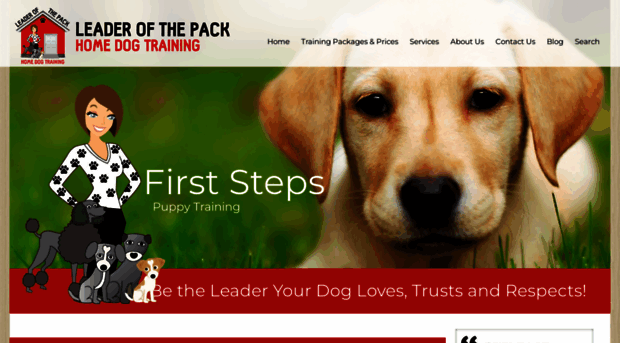 leaderofthepackhomedogtraining.com