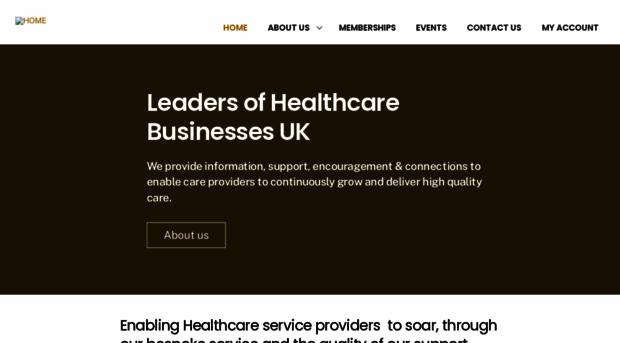 leadersofhealthcarebusinesses.uk