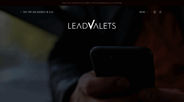 leadvalets.com