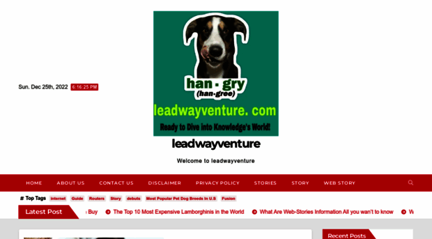 leadwayventure.com