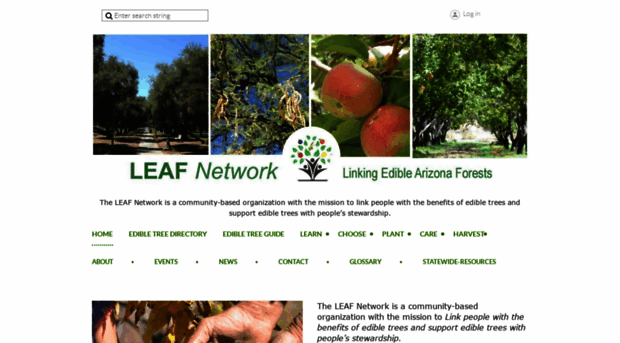 leafnetworkaz.org