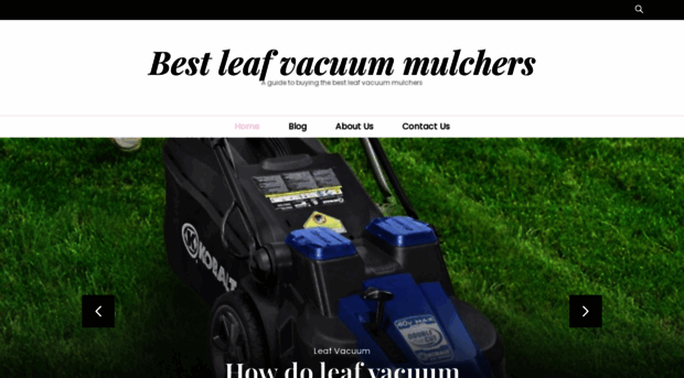 leafvacuummulchers.com