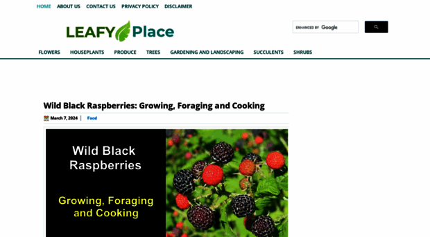 leafyplace.com