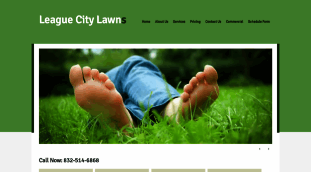 leaguecitylawnmowingservices.com