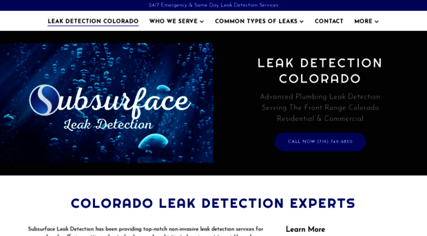 leakdetectioncolorado.com