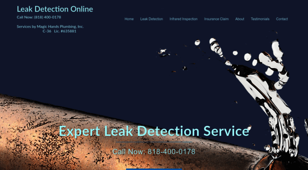 leakdetectiononline.com