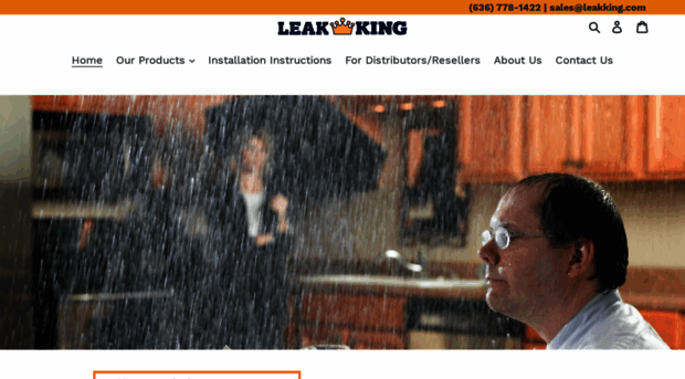 leakking.com