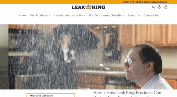 leakking.net