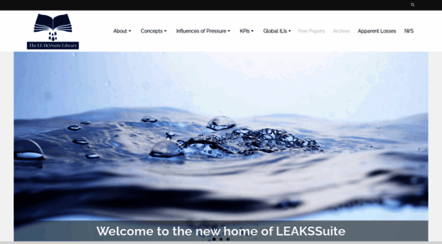 leakssuite.com