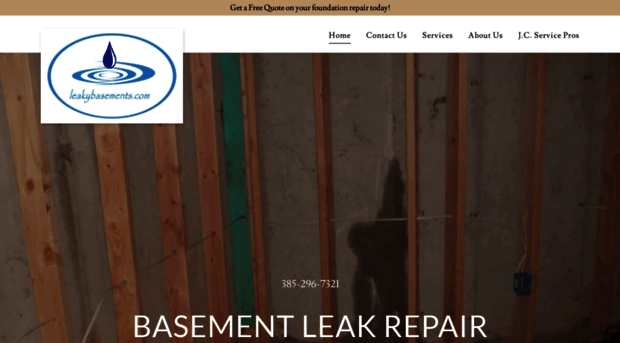 leakybasements.com