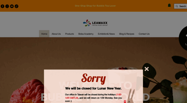 leamaxx.com