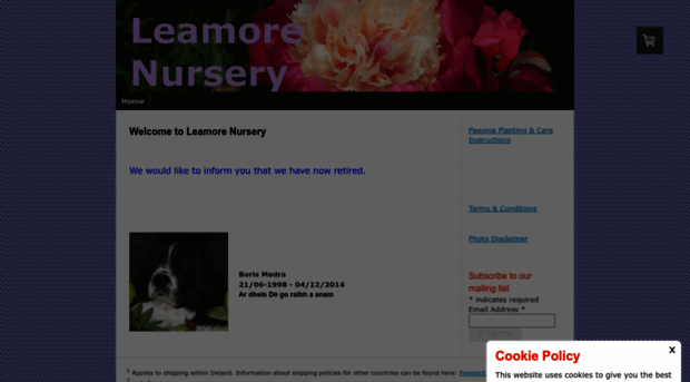 leamorenursery.com