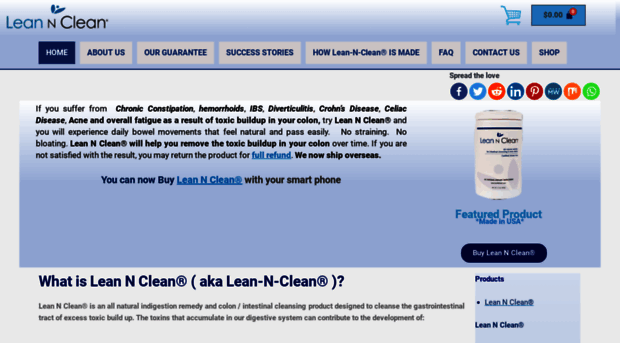 leannclean.com