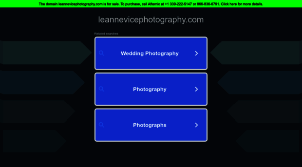 leannevicephotography.com