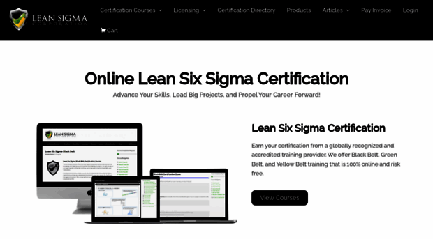 leansigmacorporation.com