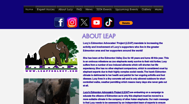 leapforlucy.com