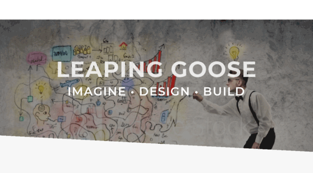 leapinggoose.com