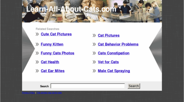 learn-all-about-cats.com