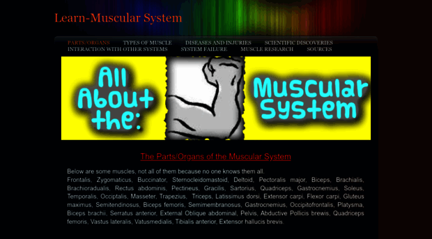 learn-muscularsystem.weebly.com