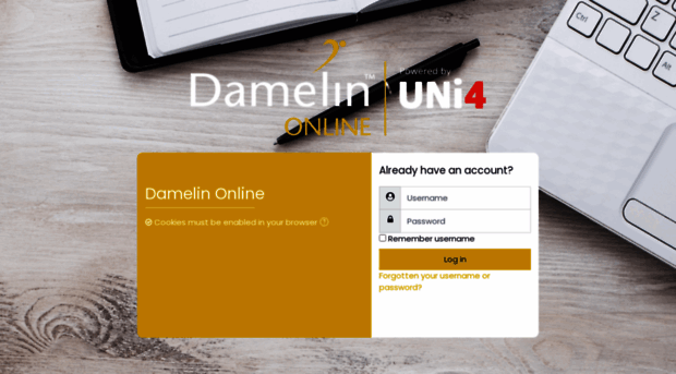 learn.damelinonline.co.za