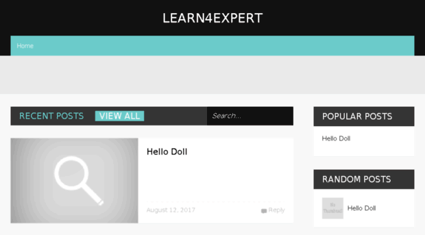 learn4expert.com