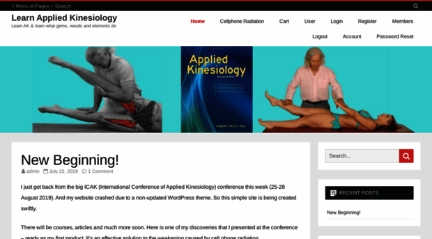 learnappliedkinesiology.com