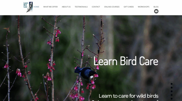 learnbirdcare.org