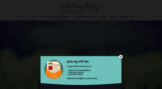 learning.lindascannell.com