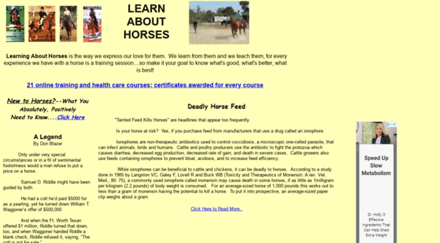 learningabouthorses.com