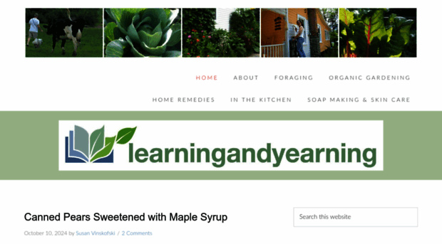 learningandyearning.com