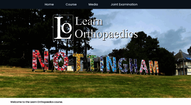 learnorthopaedics.com