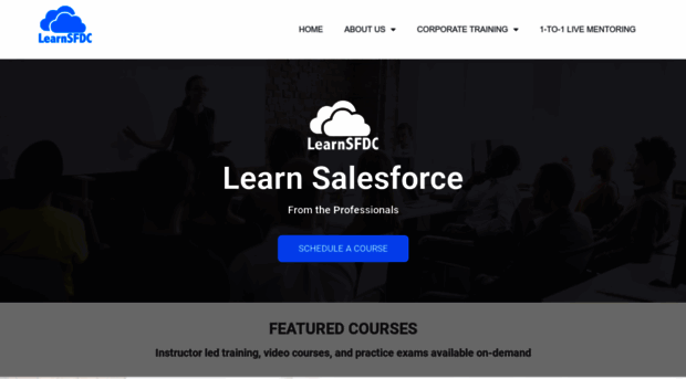 learnsfdc.com