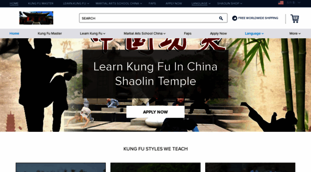 learnshaolinkungfu.com