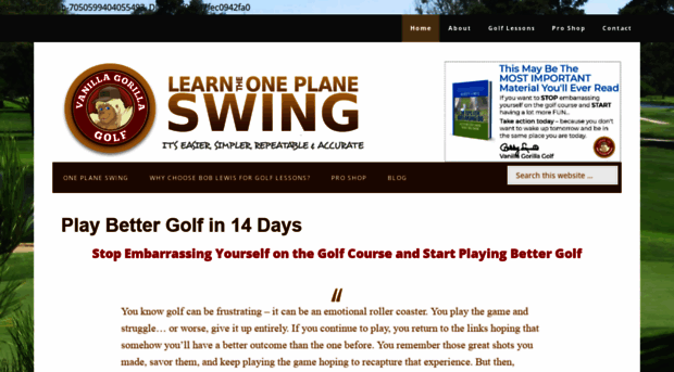 learntheoneplaneswing.com