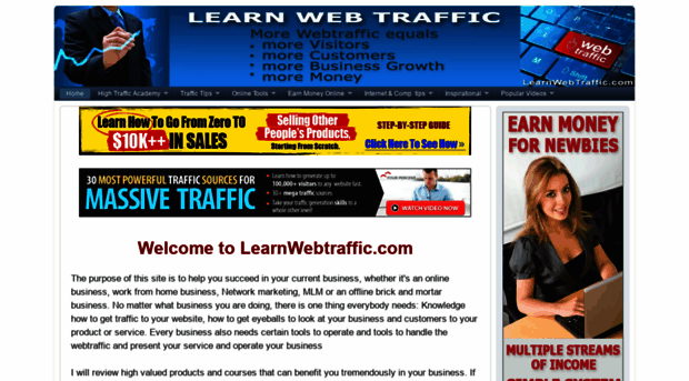 learnwebtraffic.com