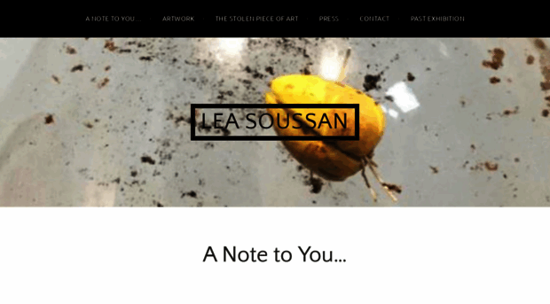 leasoussan.com