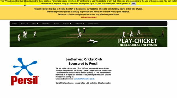 leatherhead.play-cricket.com