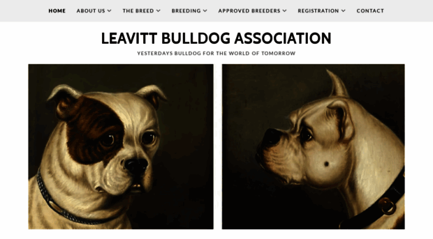 leavittbulldogassociation.com