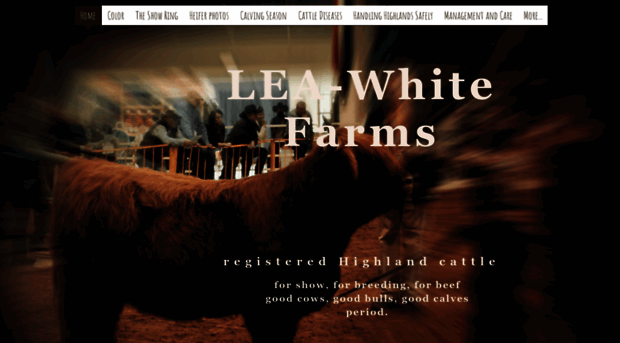 leawhitehighlandcattle.com